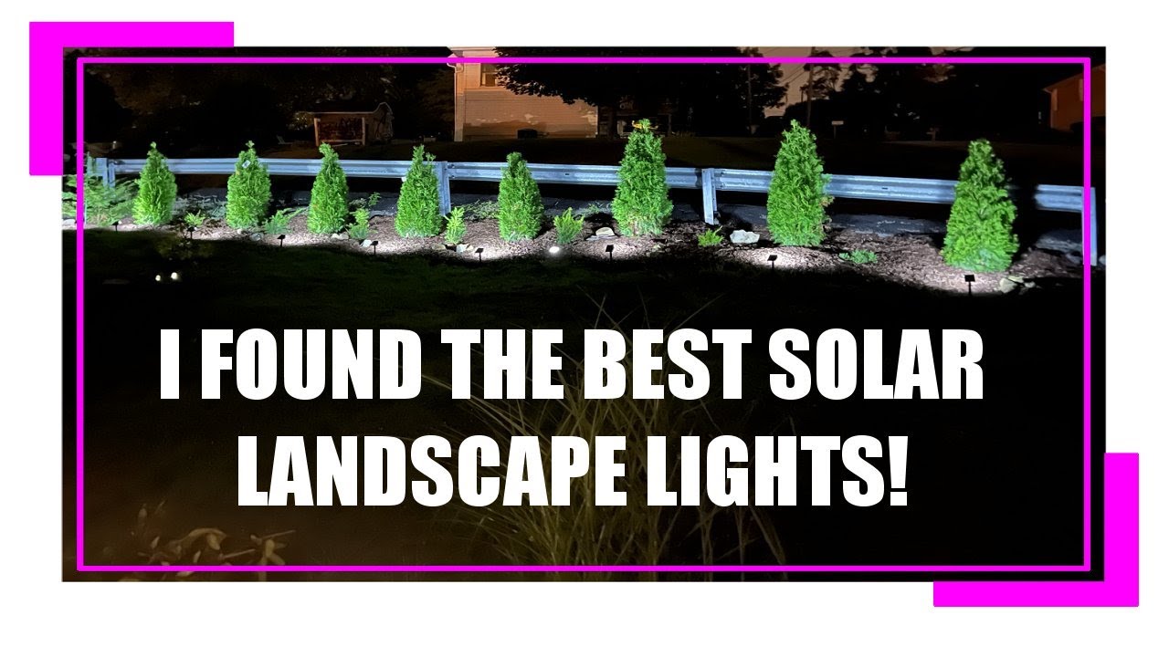 BEST SOLAR LANDSCAPE SPOTLIGHTS! ~ My REVIEW ~ Brighter than wired!