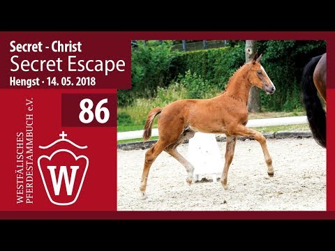 086 Secret Escape HF v. Secret - Christ