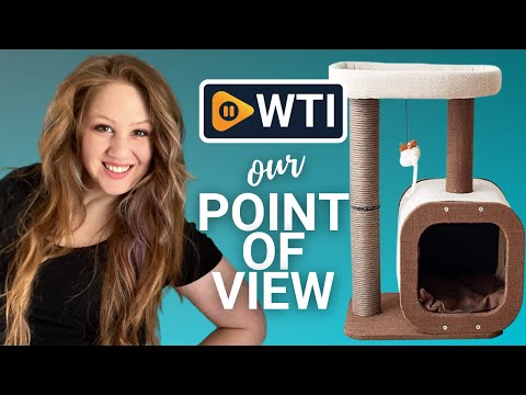Catry Kitten Cat Tree Condos - WTI product video review