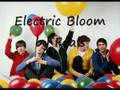 Electric Bloom by Foals 