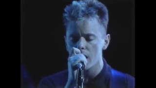 New Order - Love Vigilantes