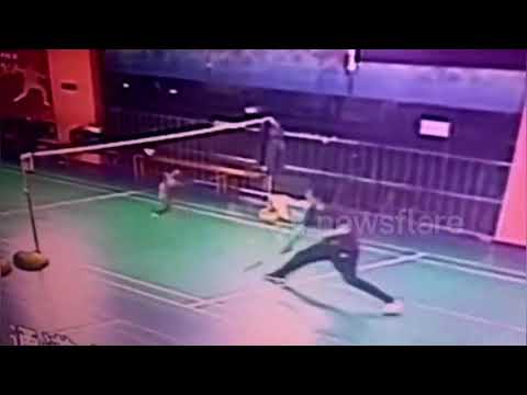 Watch this pet cat's incredible badminton shot while playing with owner