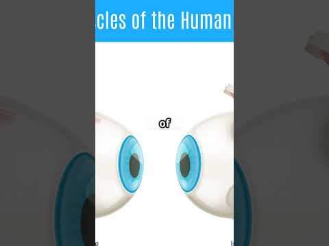 Discover Your Body's Hidden Movements!