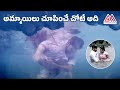 Chinnodu Movie Romantic Scenes Sumanth Charmme Kaur Gangothri Movies