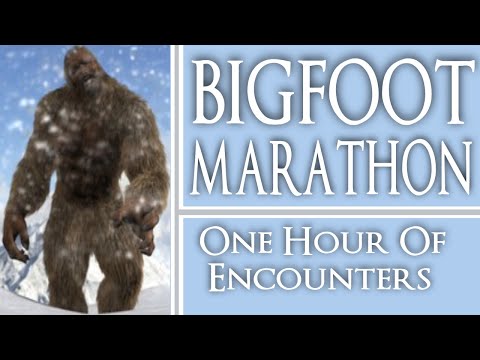 Bigfoot Ultra Marathon #9 - One Hour of Bigfoot Encounters
