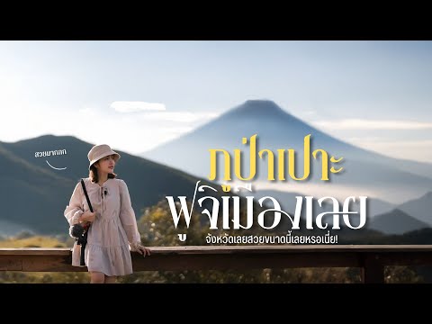 คลิกเพื่อดูคลิปวิดีโอ