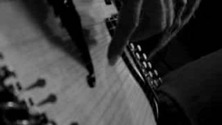 39 String Harp Guitar - Alex DeGrassi