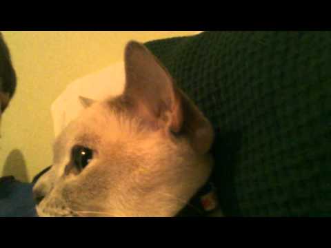 Welcome To My Channel!!!