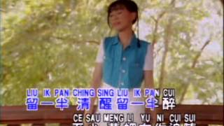 Timi Zhuo 卓依婷 - 潇洒走一回 Xiao Sa Zou Yi Hui