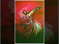 Islam Whatsapp Status Sufi
