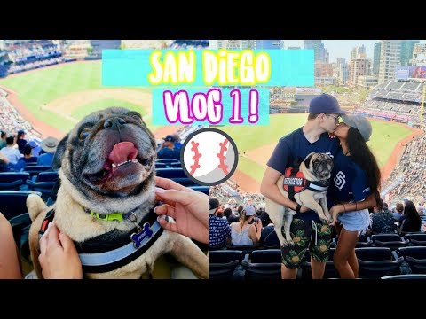 download lagu mp3 mp4 Baseball San Diego 2019, download lagu Baseball San Diego 2019 gratis, unduh video klip Baseball San Diego 2019