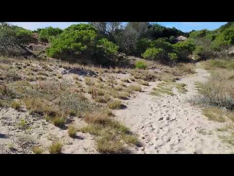 Sistema costero de Ciudad de la Costa, Médanos de Solymar, Canelones, Uruguay.