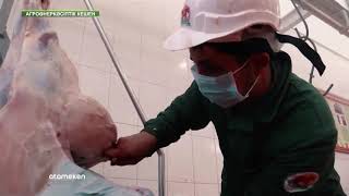 Экстенсивті мал шаруашылығы. Экспорт әлеуеті