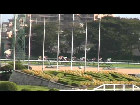 2012年スプリンターズＳ　Ｇ１　ロードカナロア SPRINTERS STAKES Lord Kanaloa