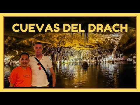 Day Tour to the Cave | Porto Cristo Mallorca 🇪🇸