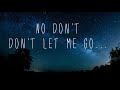 Don't Let Me Go - The Click Five || (lyrics)