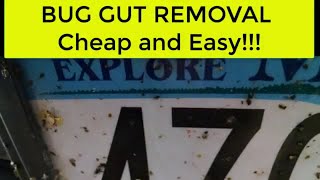 How to Clean Bugs Off Your Car - Cheap and Easy!