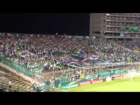 "Deportivo Cali 2 - 2 racing club (Cali pachanguero)" Barra: Frente Radical Verdiblanco &bull; Club: Deportivo Cali