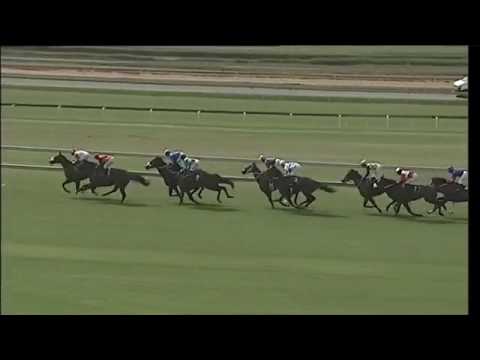 2017.03.04 Hawaii Stakes - Rafeef