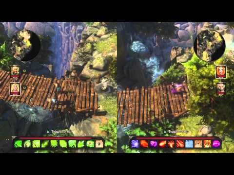 Divinity Original Sin Enhanced Edition Co-Op Trailer