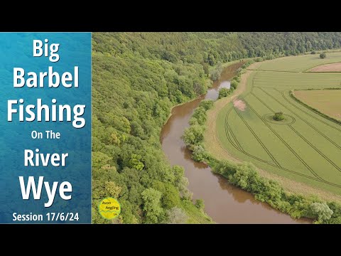 Barbel Fishing - Big Day Ticket Barbel On The River Wye - Approach & Tactics - 17/6/24 (Video 501)