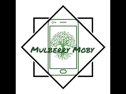 Разборка Motorola G9 Plus, быстрая замена дисплея