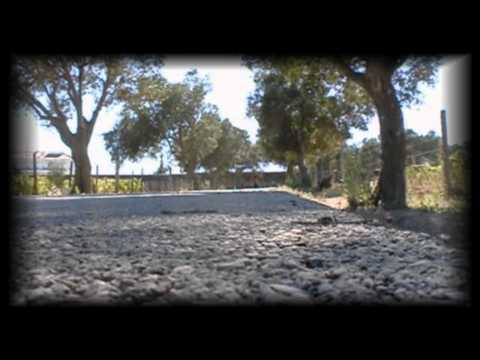 PNM LONGBOARDING - ETA MOVIE