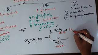 Reactions involving cleavage of C-O bond in alcohols- Class XII