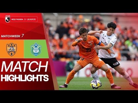 bg-highlight