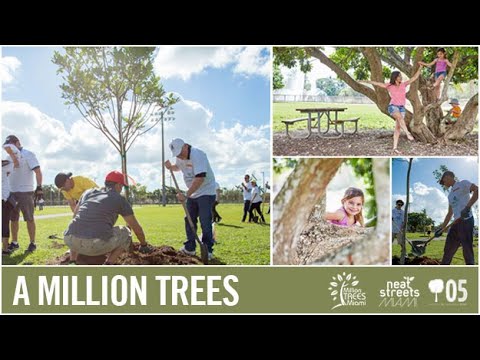 download lagu mp3 mp4 Miami Plants And Trees, download lagu Miami Plants And Trees gratis, unduh video klip Miami Plants And Trees