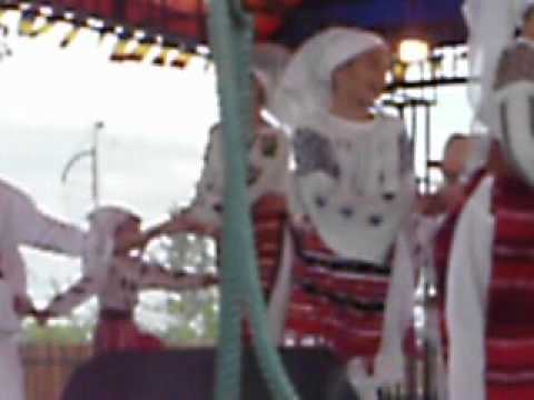 Ansamblul Doina Mischiului