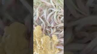 Ăn đi . Rồi tính tiếp.#kieuduc