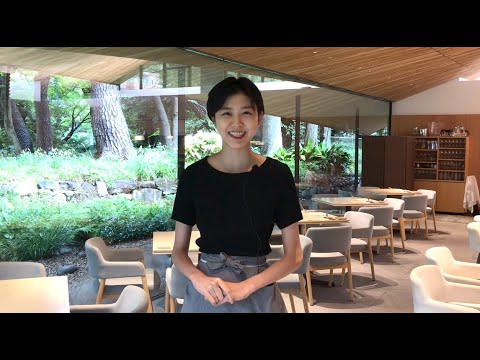 地中海の庭園 – イタリアの屋外デザインの 10 のヒント  庭園