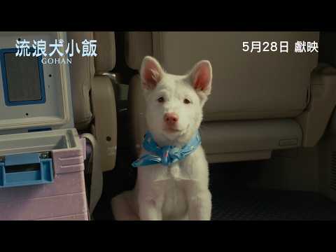 《伴我一生，感謝你》預告片：官方預告
