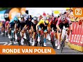 WEDEROM NEDERLANDSE OVERMACHT IN DE EINDSPRINT!!! ?? | Ronde van Polen | Etappe #05
