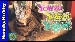Yowza Yowza Yogurt -- Dear Tipi #19