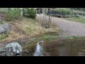 Duck And Rain ️ Finland Fullscreen