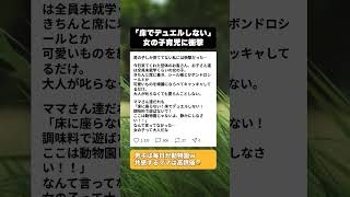 「ここは動物園じゃない！」と叫ばない育児が存在した。男の子ママが『女の子集団』を見て絶望（？）した理由ｗｗ #面白い話 #育児あるある