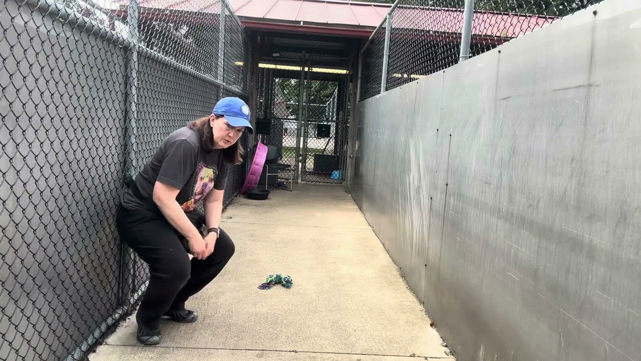 Big Mac video preview