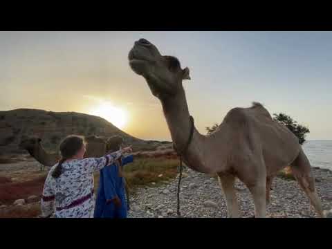 Randonnée chamelière à travers le Maroc