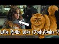 Crookshanks Origins Explained Who Is He Really
