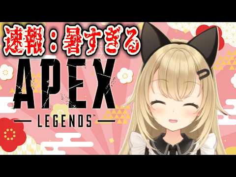 【APEX】激熱なソロランク、EAさんからのお手紙