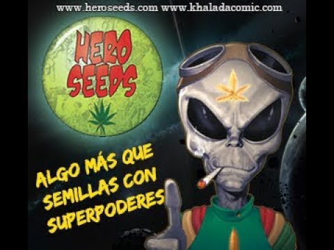 Kinky Bwoy & Galibo Band  "Hero Seeds"