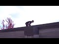 Vector ALL TRICKS In Real Life Parkour Gam