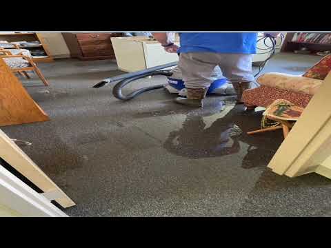 NLBC   THE REALITY OF THE RISEN JESUS