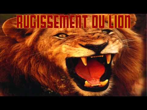 Download Rugissement Lion Bruitage Mp3 Dan Mp4 18 Statice Mp3 Download Rugissement Lion Bruitage Mp3 Dan Mp4 18 Statice Mp3