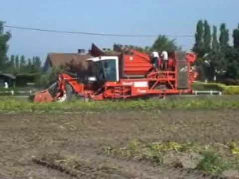 Vandemaele: Aardappel rooien.