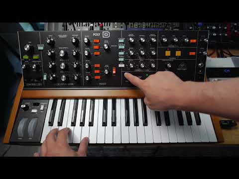 Poly D 2025 Review: Honest 6-Month Verdict & You Need It ASAP