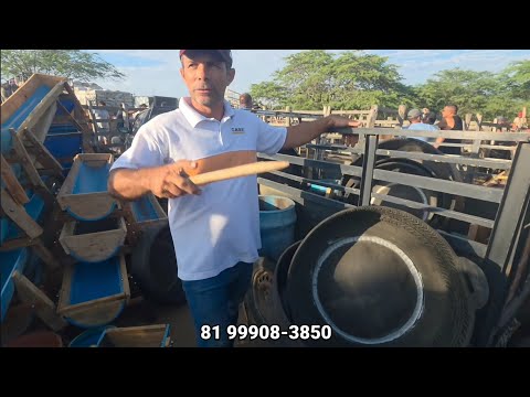 FEIRA DAS AVES NA VILA JERIMUM TAQUARITINGA DO NORTE-PE 