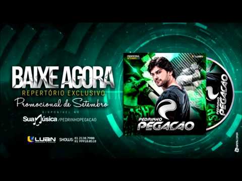 CD Promocional Setembro 2015 - Pedrinho Pegação